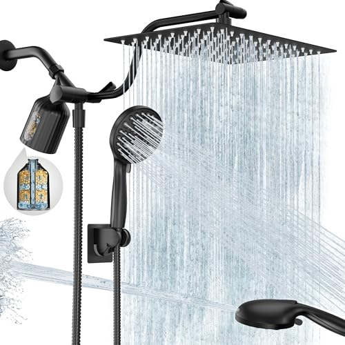 Filtered Shower Head with Handheld