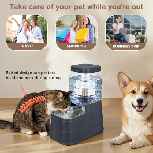 1.6 Gallon Pet Automatic Dog Water Dispenser Cat Gravity Waterer Feeder with Stainless Steel Bowl 8L Large Capacity Puppy Feeding Raised Bowls with Filter