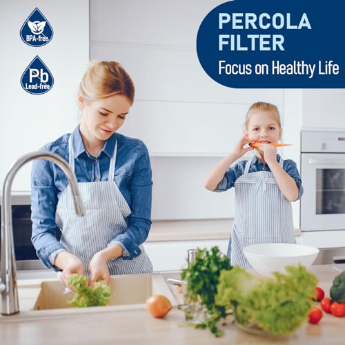 AP917HD Water Filter
