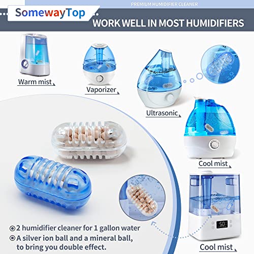 Humidifier Cleaner