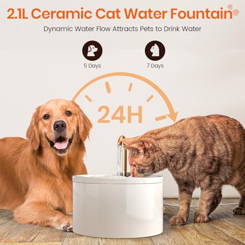 Ceramic Cat Water Fountain