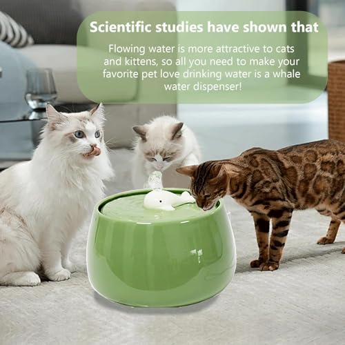 Ceramic Cat Water Fountain