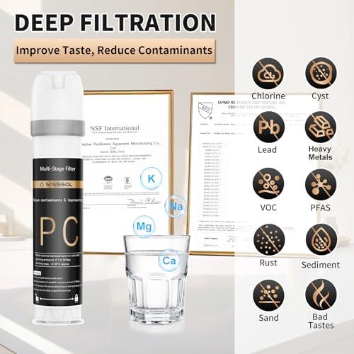 Under Sink Water Filter System with Chrome Faucet