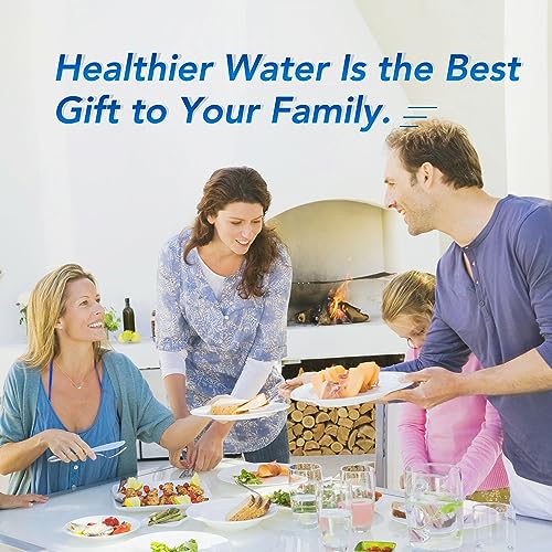 RFC6600A Refrigerator Water Filter Replacement for 4396841 (3 Count)