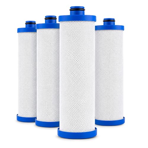 KW1 Filter for RV Water Systems 4 (4 Count)