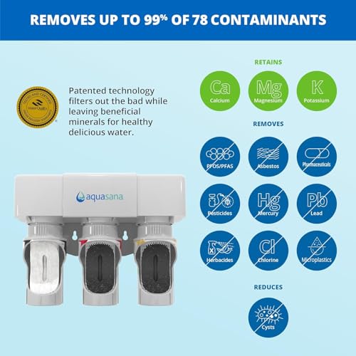 Under Sink Water Filter System