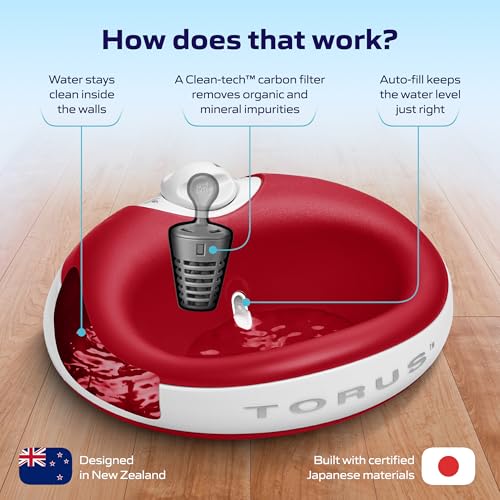 Mini Portable Filtered Water Bowl for Cats & Small Dogs