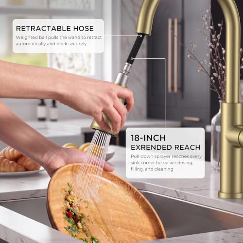 Kitchen Faucet with Pull Down Sprayer