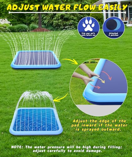 Splash Pad for Dogs & Kids