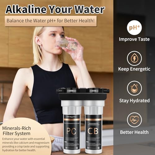 Water Filter for Sink with Faucet