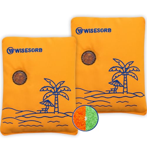 500g 2pcs Rechargeable Car Dehumidifier Moisture Absorbers Bags (2 Count)