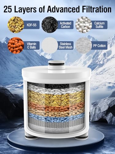 Filtered Shower Head with Filters