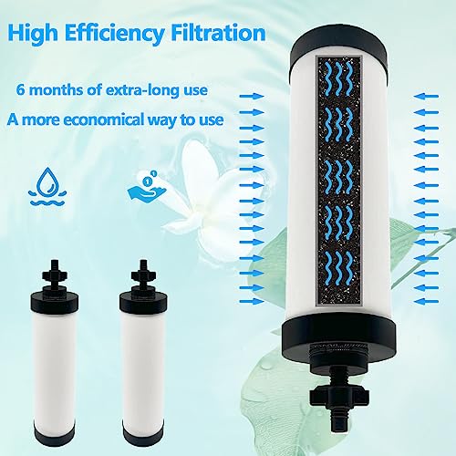 Upgraded】Virego Ceramic Filter Silver Infused (6000 Count)