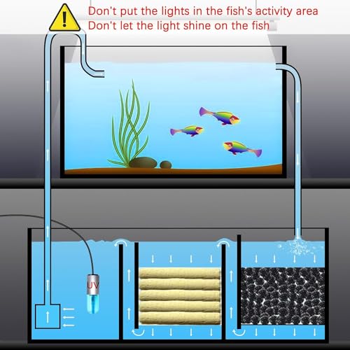 Aquarium Clean Light