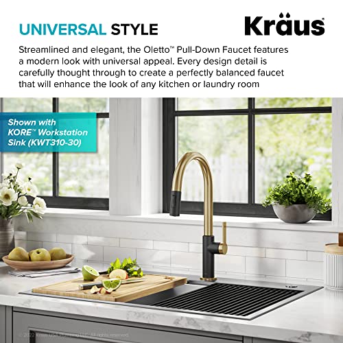 Oletto High Arc Single Handle Pull