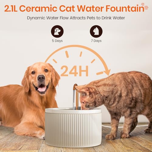 Ceramic Cat Water Fountain