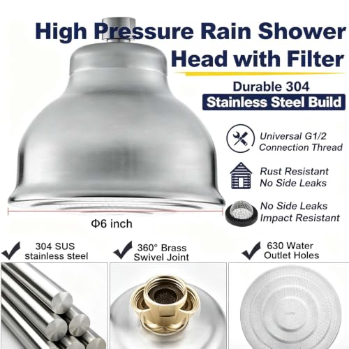 Stainless Steel Shower Head with Filters