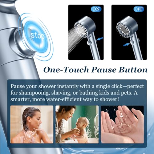 Filtered Shower Head with Handheld