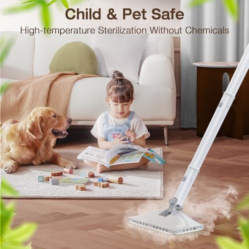 Steam Cleaner