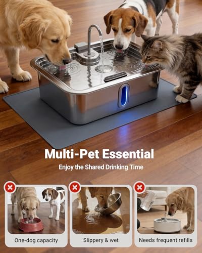 3.17Gal 12L Dog Water Fountain with Silicone Mat & 3 Filters for Dogs Cats (405.82 Ounce)