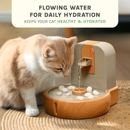 Cat Water Fountain