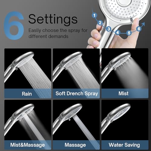 Filtered Shower Head with Handheld