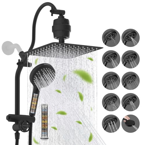 10" Dual Filtered 10" Rainfall Shower Head with Handheld 10
