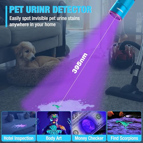 Rechargeable Pen Flashlight with UV and White Light