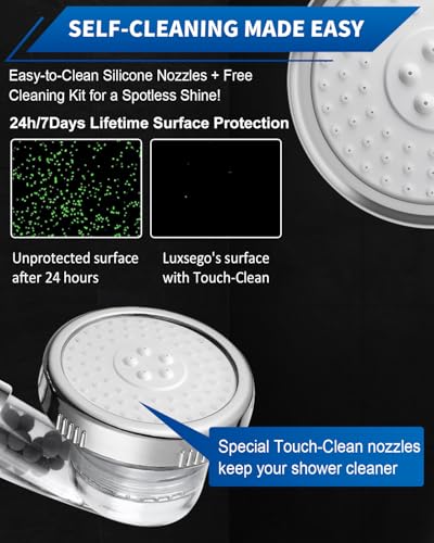 Filtered Shower Head with Handheld
