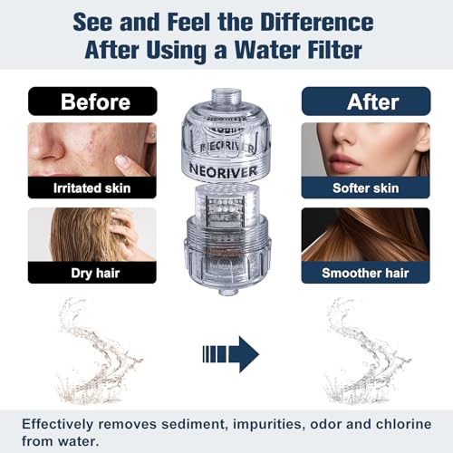 High Output Revitalizing Shower Filter