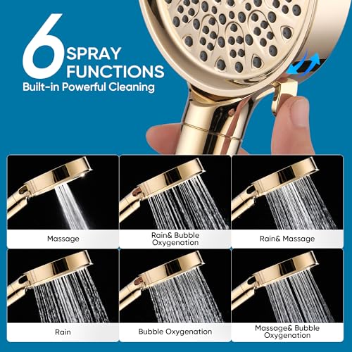 Filtered Shower Head with Handheld