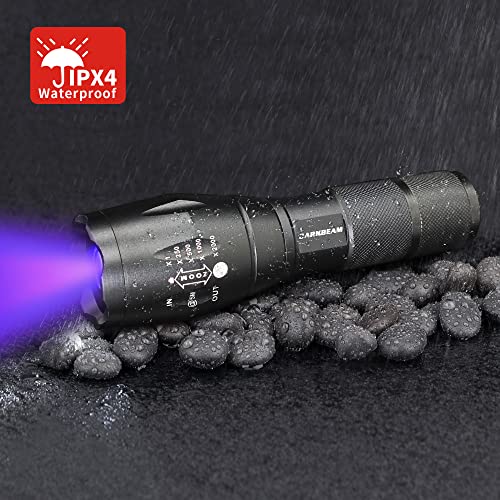 UV 365nm & 395nm Dual Black Light Woods lamp Blacklight Flashlight
