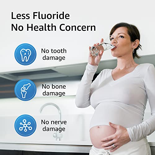 Fluoride Water Filter (2 Count)