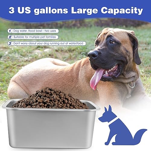 3 Gallon Large Dog Water Bowl