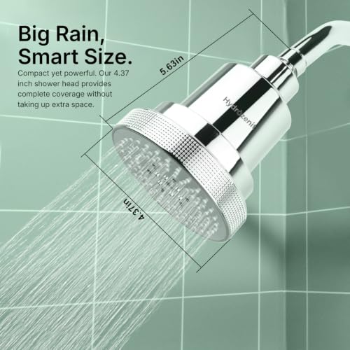 Filtered Shower Head Chrome