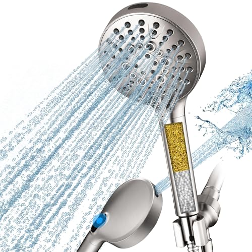 Filtered Shower Head with Handheld