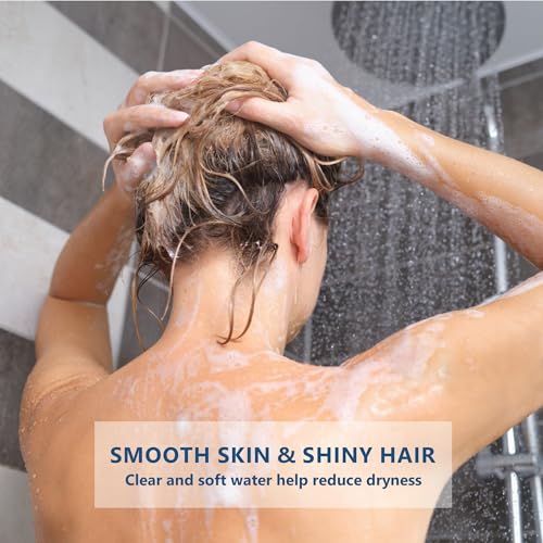 4 Pack 20 Stage Shower Head Filter (4 Count)