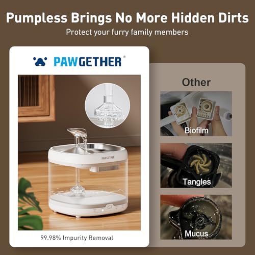 Cat Water Fountain with 4 Filters