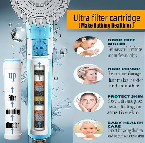 Shower Head with Handheld