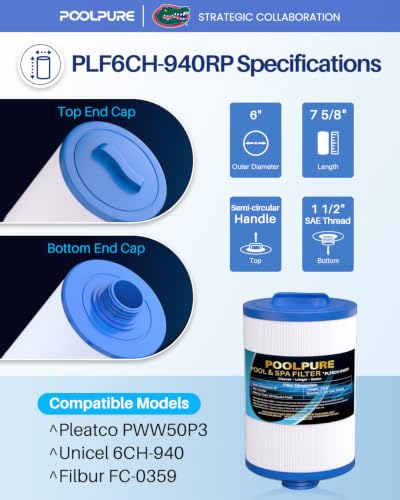 6CH 940RP Removable Handle Spa Filter