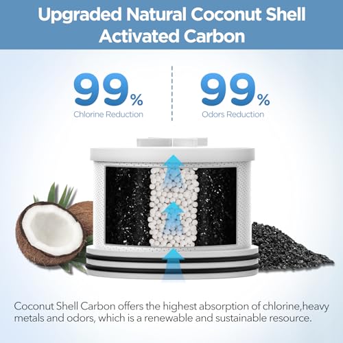 Filtered Shower Head with Upgraded Activated Carbon Filter
