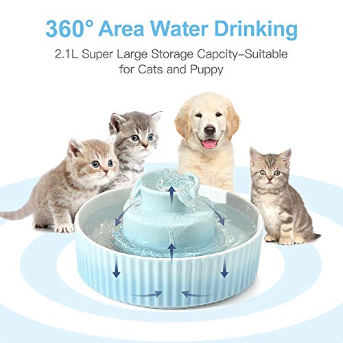 360 Ceramic Pet Fountain (70 Fl Oz)