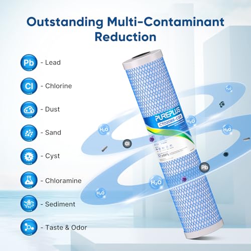 20" x 4.5" Whole House Activated Carbon Water Filter (2 Count)