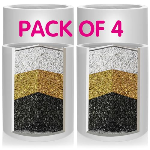 Enhanced Formula Multi (4 Count)