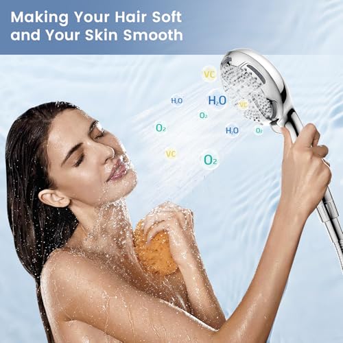 Filtered Shower Head with Handheld