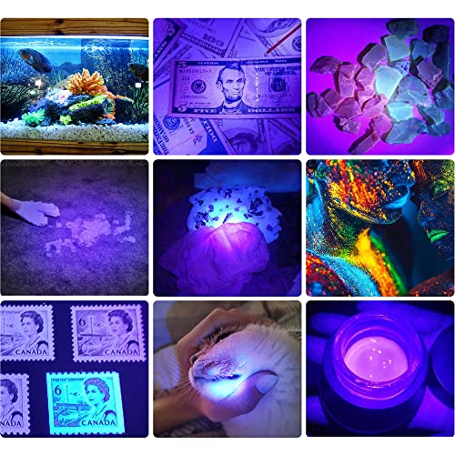 UV 395nm Flashlight Blacklight Woods lamp Black Light Mini (2 Count)