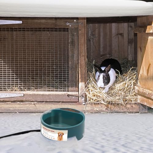 Heated Water Bowl for Outdoor Cats