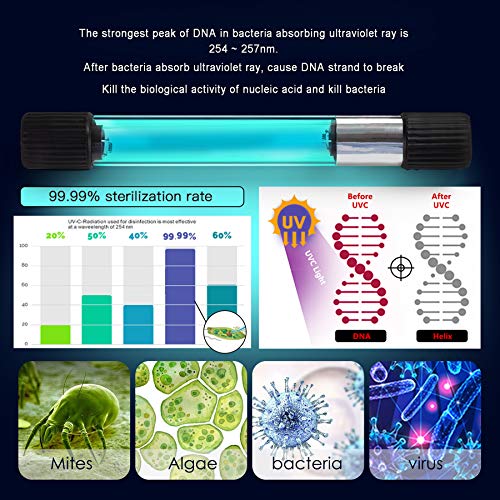 Aquarium Clean Light