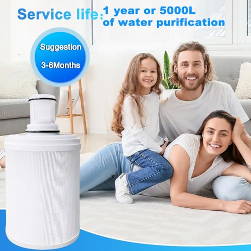 1Pack 100186 Water Filter Replacement