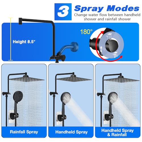 Matte Black 12" Filter Rain Shower Head with Handheld Spray Combo